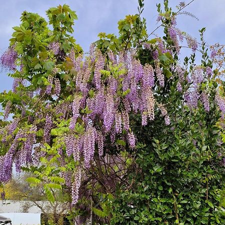 Camping Pilzone Iseo Bagian luar foto