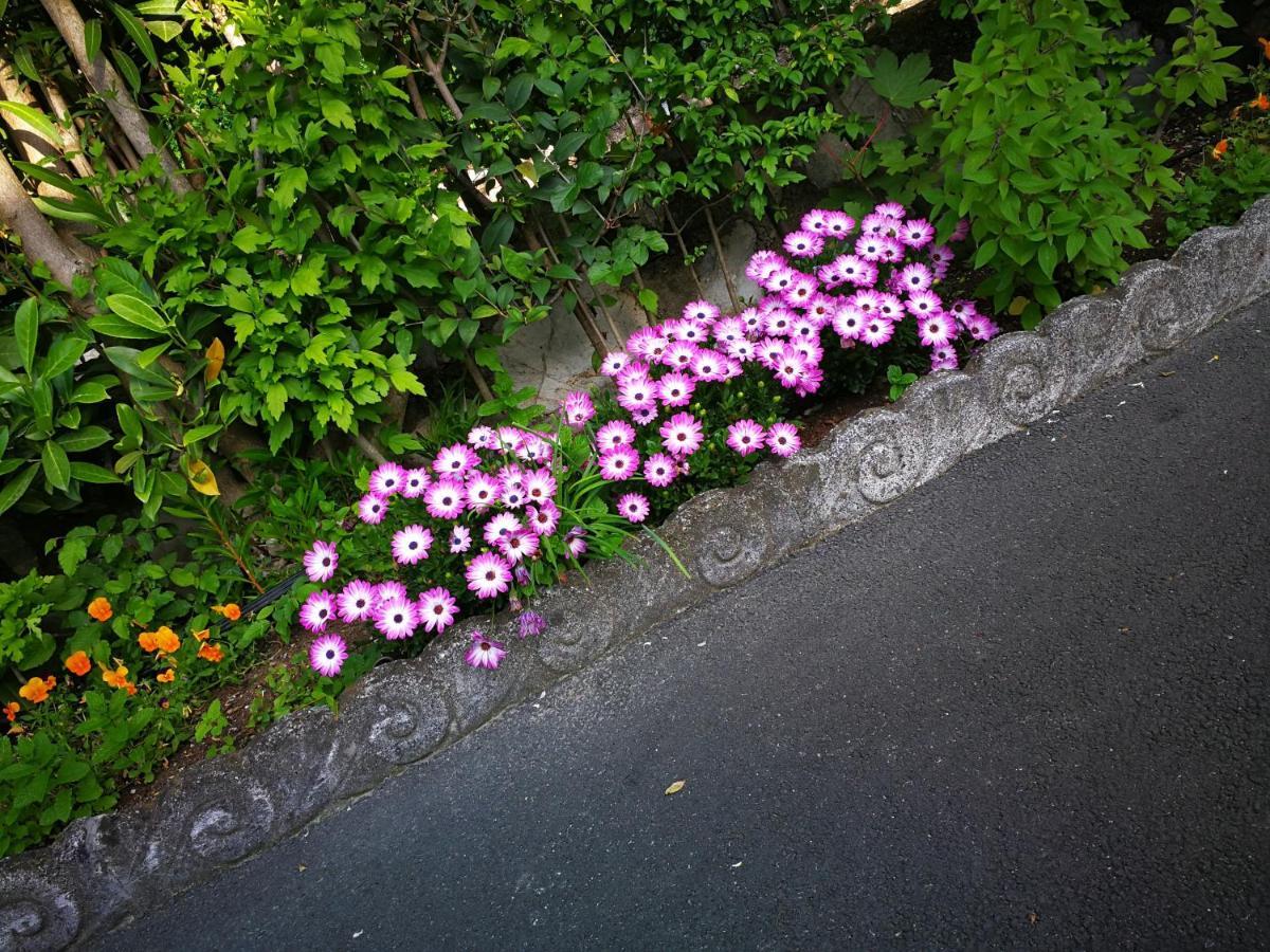 Camping Pilzone Iseo Bagian luar foto